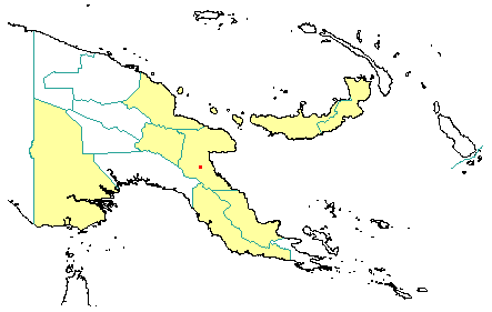 Aleurites moluccana var. floccosa 