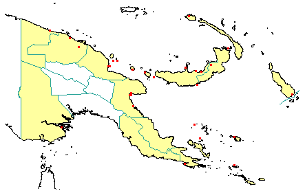 Calophyllum inophyllum 