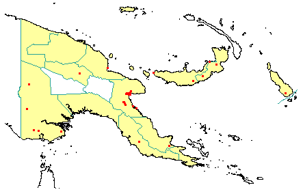 Calophyllum soulattri 