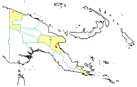 Dysoxylum mollissimum subsp. molle 