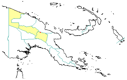 Macaranga leonardii 