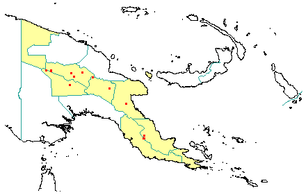 Paraserianthes falcataria subsp. fulva 