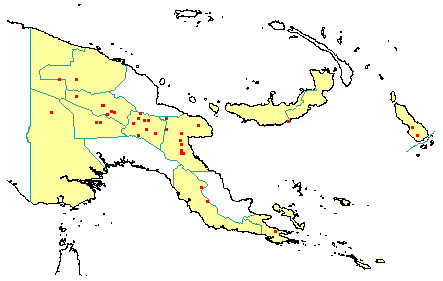 Perrottetia alpestris subsp. moluccana 