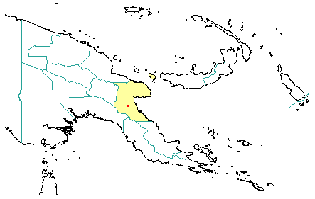Pinus kesiya ex. 