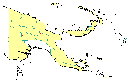 Symplocos cochinchinensis subsp. leptophylla var. leptophylla 