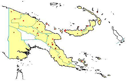 Syzygium hylophilum 