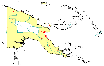 Syzygium trivene 