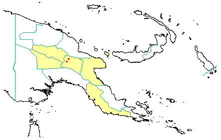 Ternstroemia britteniana 