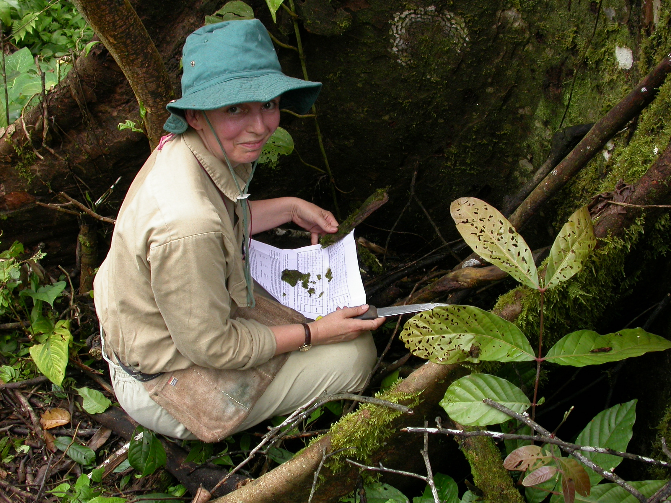 Elizabeth_EAB2004_base_of_Dracontomelon_dao_51_0827.JPG