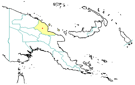 Gmelina papuana 